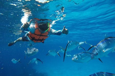 Snorkel Shared Tour Sandbar El Cielo in Cozumel with C