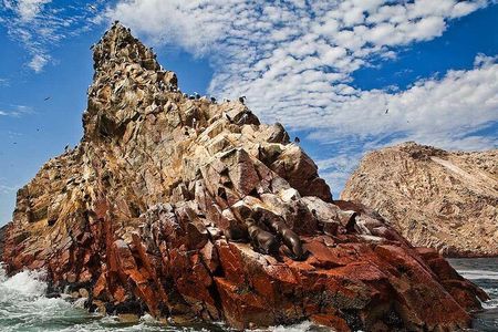 Lima: Paracas Reserve, Slave Tunnels & Ballestas Islands Full Day