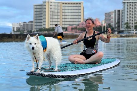Paddle board Ala Moana with Rescue Dogs