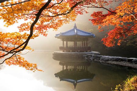 Naejangsan National Park Autumn Foliage One Day Tour from Busan
