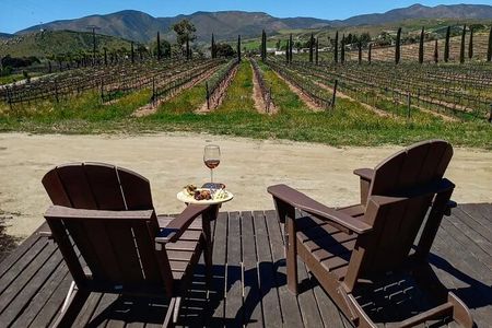 From the Border Valle de Guadalupe Private Wine Tour