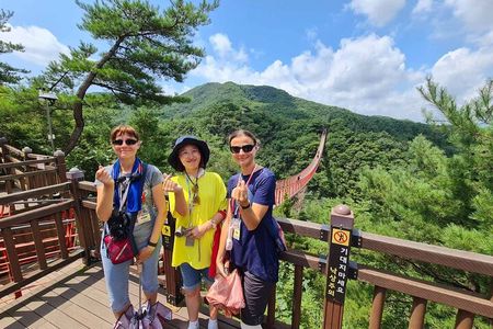 DMZ Tour from Seoul – Optional Suspension Bridge Experience