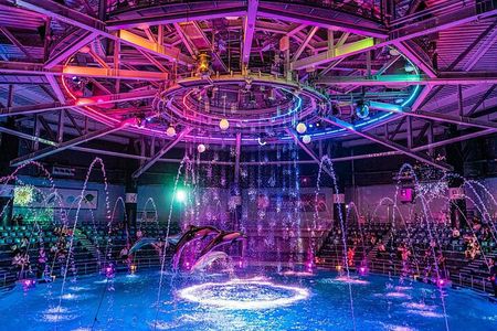 Tokyo Night E-Bike Tour with Tokyo Tower and Dolphin Show