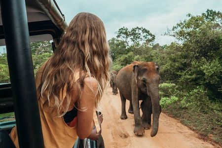 Ella to Mirissa shuttle & Udawalawe national Safari
