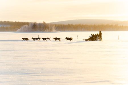 Rovaniemi Insider: 5 km Husky Self Drive Adventure