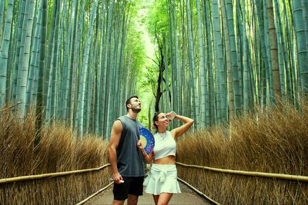 Kyoto Arashiyama Walking Tour with Bamboos Monkeys and Temple