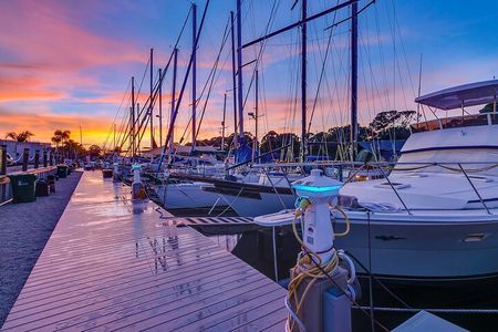 Bioluminescence Night Craigcat Tours 