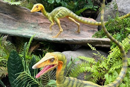 Small Group Singapore Morning City Tour with Gardens By The Bay 