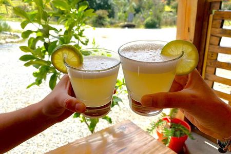 4-hour Chilean Cooking Class in Santiago