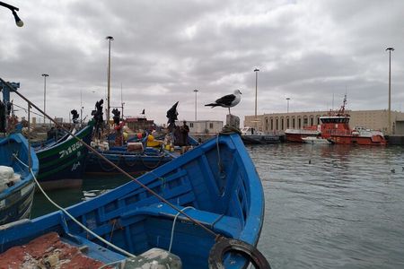  Private Day Trip from Marrakech to Essaouira 1 to 4 personnes 