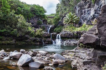 Maui: Road to Hana Adventure with Farm to Table Lunch