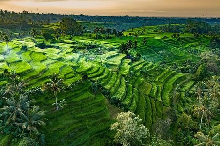 Private Tour of Bali’s Temples, Rice Terraces & Villages