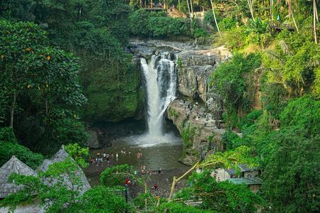 Private Tour of Bali’s Ubud: Culture, Nature & Heritage