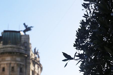 Discover Vigo Historical and Cultural Private Walking Tour