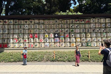Tokyo Private Full-Day Tour by Car with Local Guide