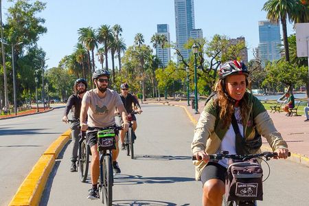Palermo and Recoleta Private Experience by bike with Local Host