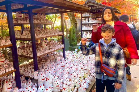 Tokyo Gotokuji Cat Temple, Shinjuku Cat Cafe and 3D Cat Tour 
