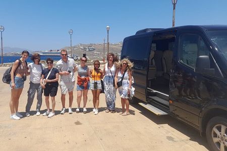 8 Must-Sees by Van: Shore Excursion for Cruise Passengers