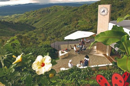 Coffee Farm Experience at Hacienda San Alberto from Salento