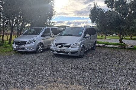  Wine Tasting Tour in Napier Region