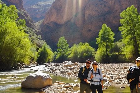 Marrakech to Atlas Mountains: Day Tour with Lunch & Scenic Views