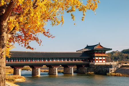 Gyeongju Autumn Foliage Day Tour from Busan with Historic Sites