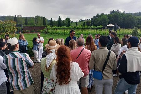 Chianti Half Day Wine Tasting Tour from Siena