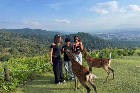 Discover Ancient Nara: Private Car Tour from Kyoto or Osaka