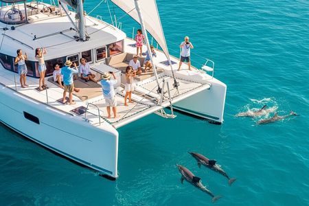MIAMI: Key West Dolphin Watch Tour and other options