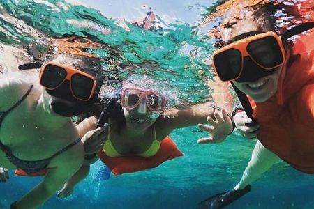 Catamaran Reef Snorkel & Turtle Adventure