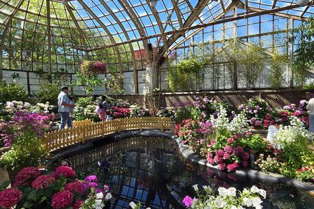 Lincoln Park Nature Museum & Zoo Private Walking Tour 