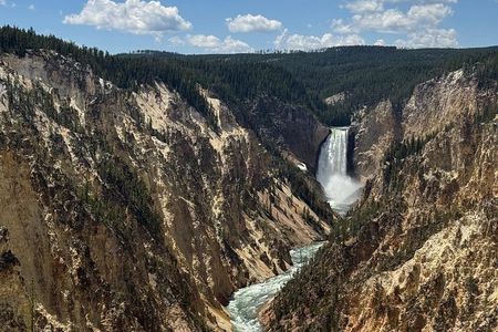 Yellowstone Tour Lower Loop Experience