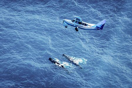 Whale Watching in Kaikoura - Ultimate Experience 