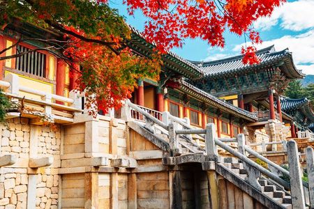 From Busan to Gyeongju UNESCO Legacy Tour with National Museum