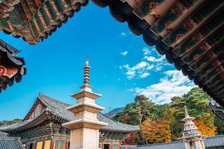 From Busan to Gyeongju UNESCO Legacy Tour with National Museum