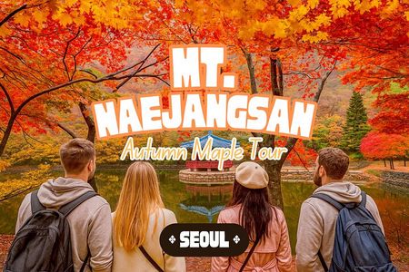 Naejangsan National Park Autumn Foliage One Day Tour from Seoul