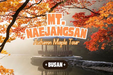 Naejangsan National Park Autumn Foliage One Day Tour from Busan