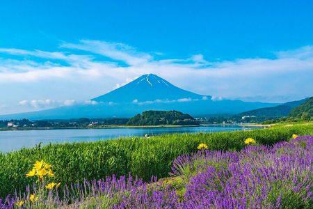 Mt Fuji Views, Fruit Picking and Ropeway Experience Day Tour