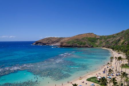 Customizable Private Tour Oahu-Circle Island-Full or Half Day