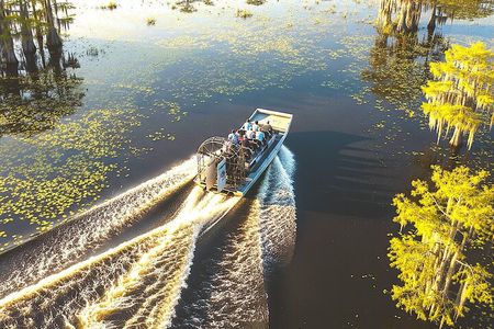 Everglades Airboat, Wildlife Experience and Photo