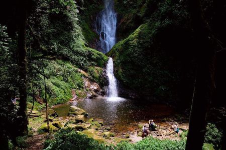 One Day Nyungwe Canopy walkway, Zipline and Ndambarare Waterfall