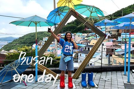 Busan Gyeongju Customizable Private Taxi or Van Tour (up to 8pax)