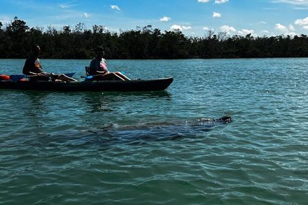 Bonita Springs Eco Kayak Tour – Best Gear, Premium&Clear Kayaks
