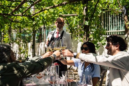 Rome to Pompeii Guided Tour with Wine & Lunch by High Speed Train