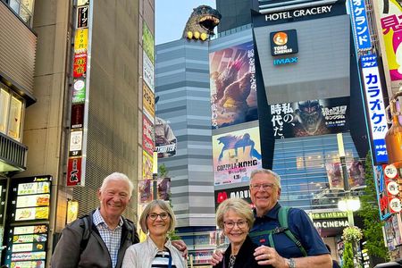 Tokyo Private Full-Day Tour by Car with Local Guide