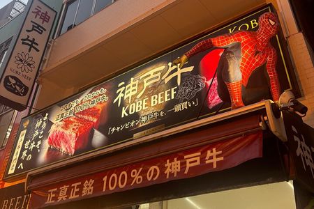 Kobe Japan Night Walking Tour