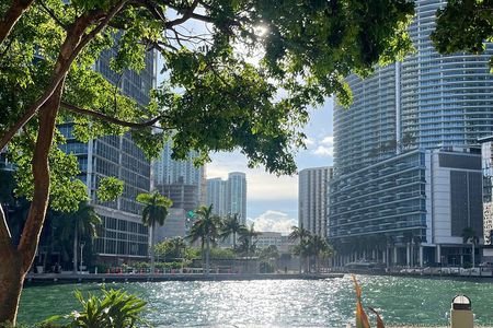 Summer Savings Sale! Explore the Best of Miami in 1 Day Tour