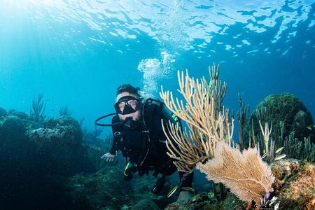 Experience Scuba 