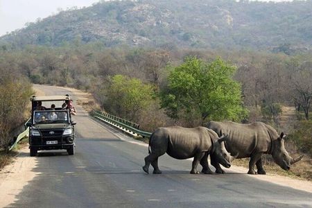 Tala Game Reserve Natal Lion Park & Phezulu Safari from Durban 