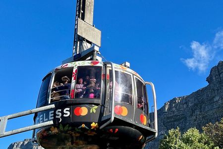 Cape Town Table Mountain Cape Point Penguins Full-Day Private Tour